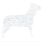 Pet, dog, Word Cloud